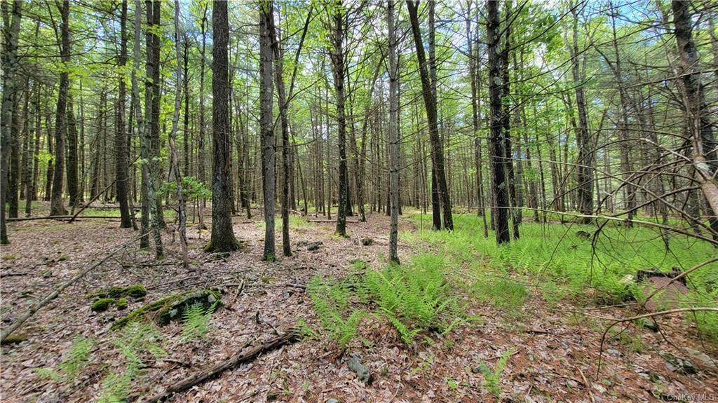 78.7 Proctor Road - Photo 1