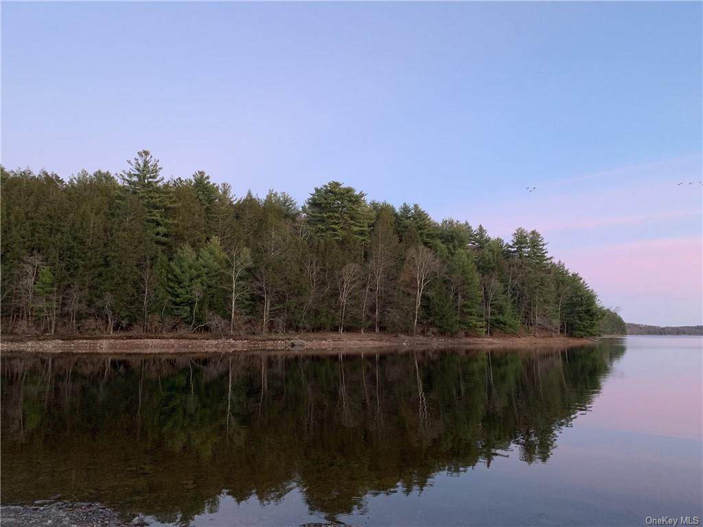 Creek Lane - Photo 1