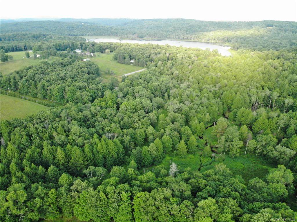 Lot 1 Jaketown Road - Photo 1