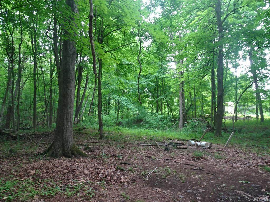109 Cardinal Road - Photo 1