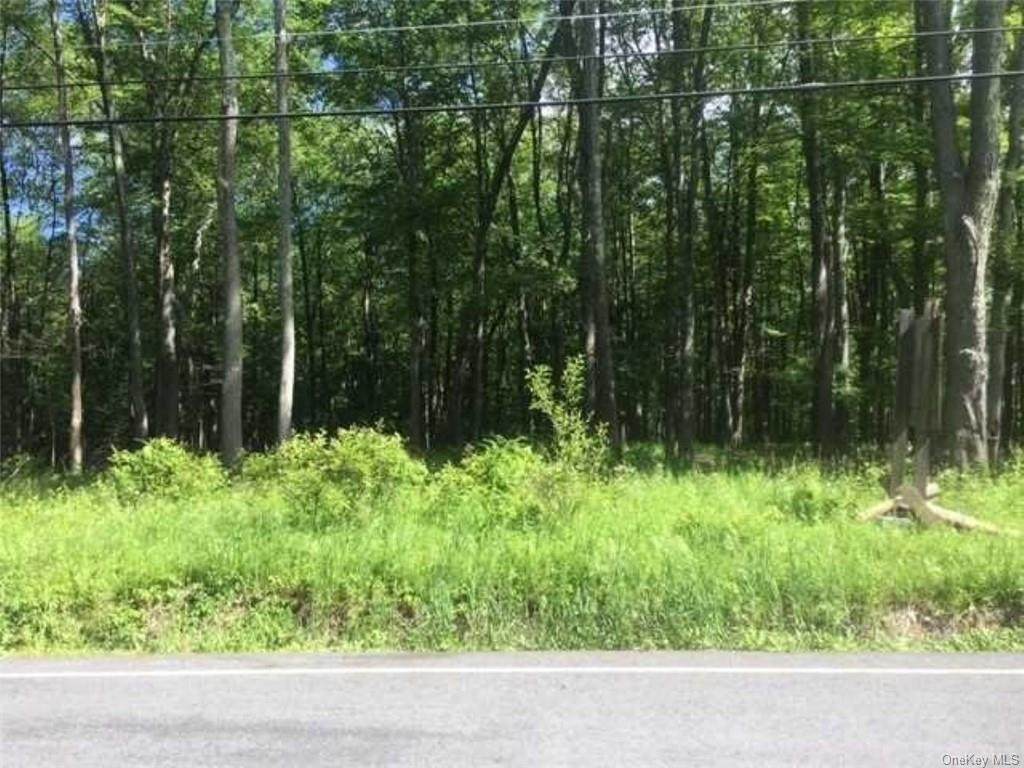 Tillson Lake Road - Photo 1