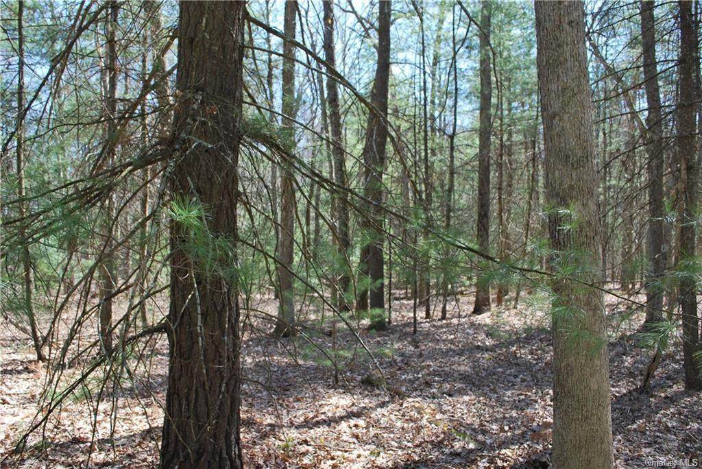 59 Peenpack Trail - Photo 1