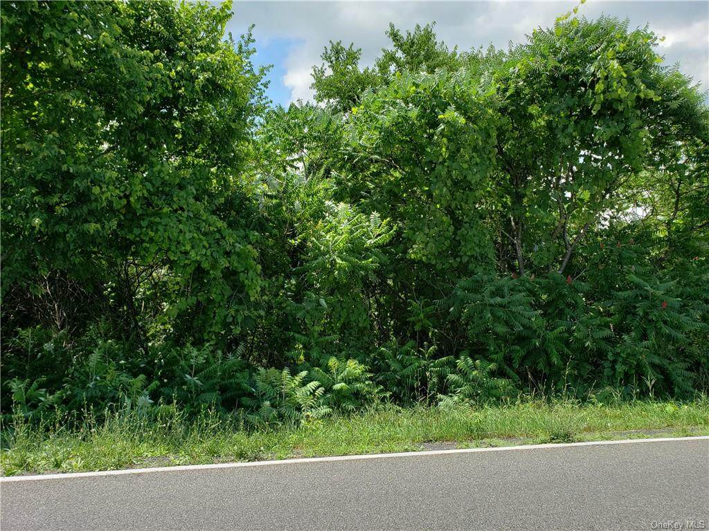 Milton Turnpike - Photo 1
