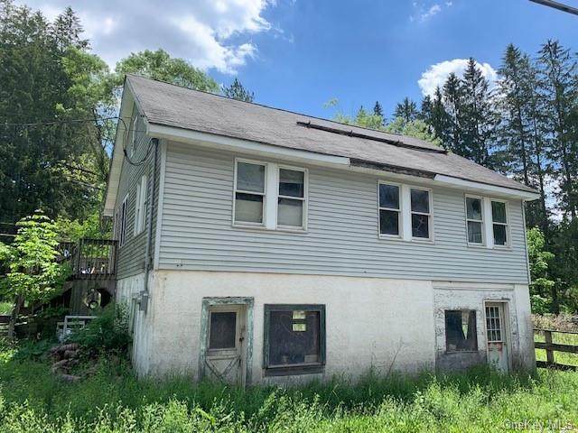 106 Beaverkill Road - Photo 1