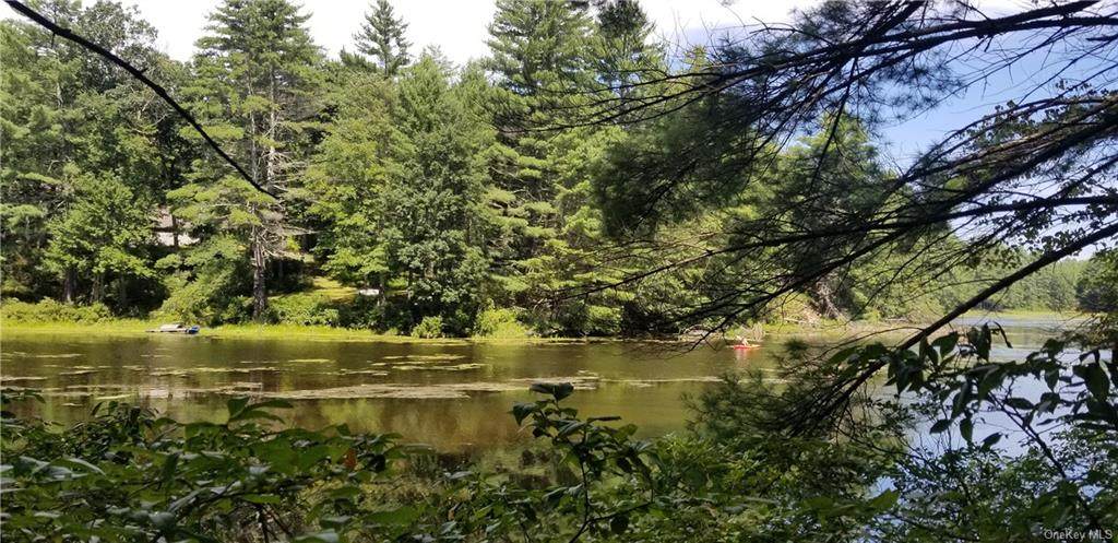 Lot #15 Swamp Pond Road - Photo 1