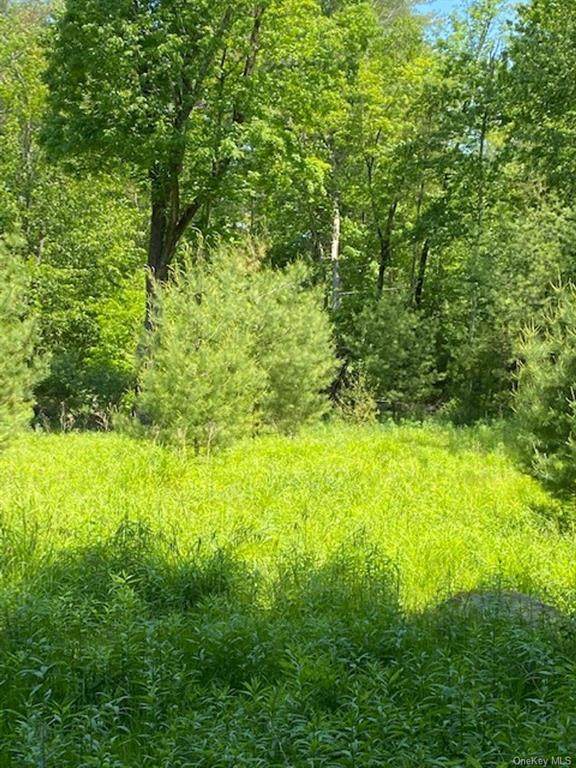 Pine Grove Road Tr 45 - Photo 1