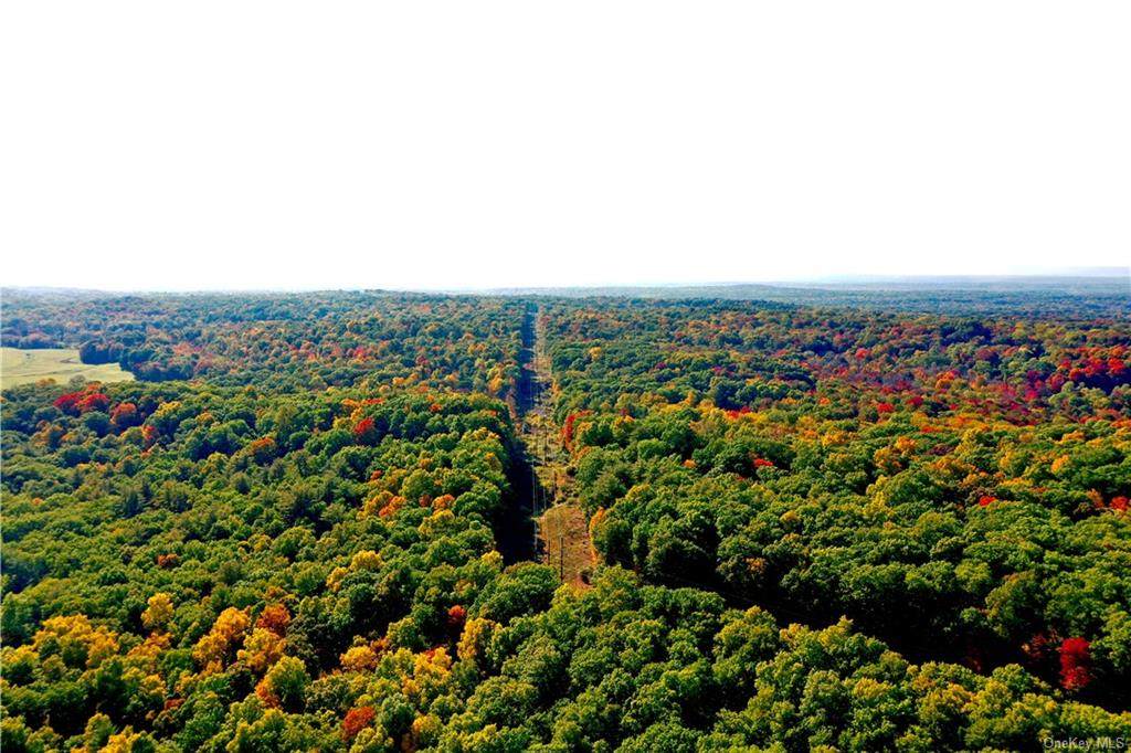 Route 308 - Photo 1