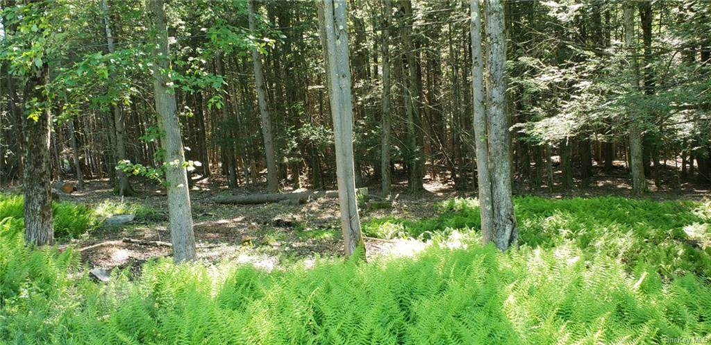 Adams Road - Photo 1