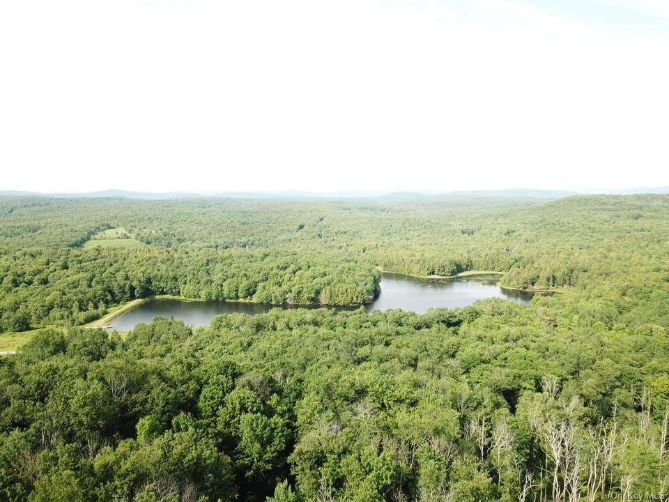 00 Tanzman Road - Photo 1