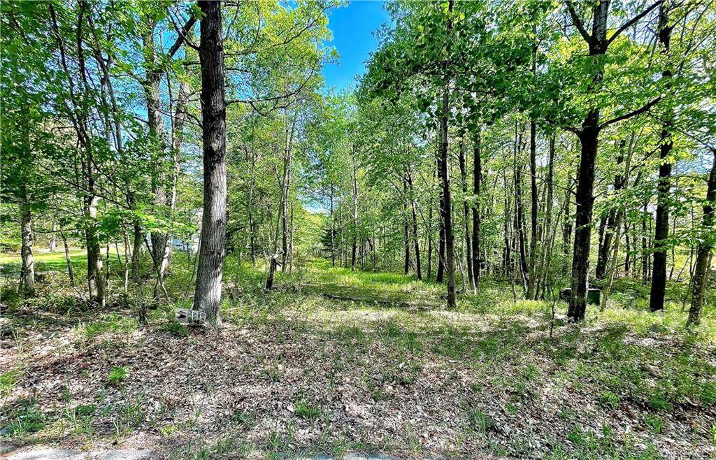 Buck Hill Road - Photo 1