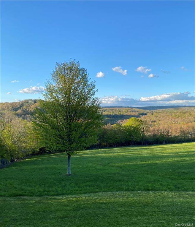 State Route 52/East Hill - Photo 1