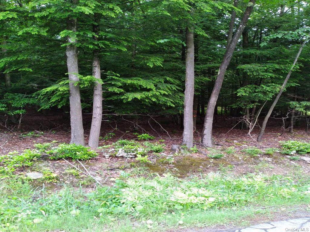 TR 49 Lindholm Road - Photo 1