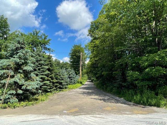 93 Scenic Drive - Photo 1