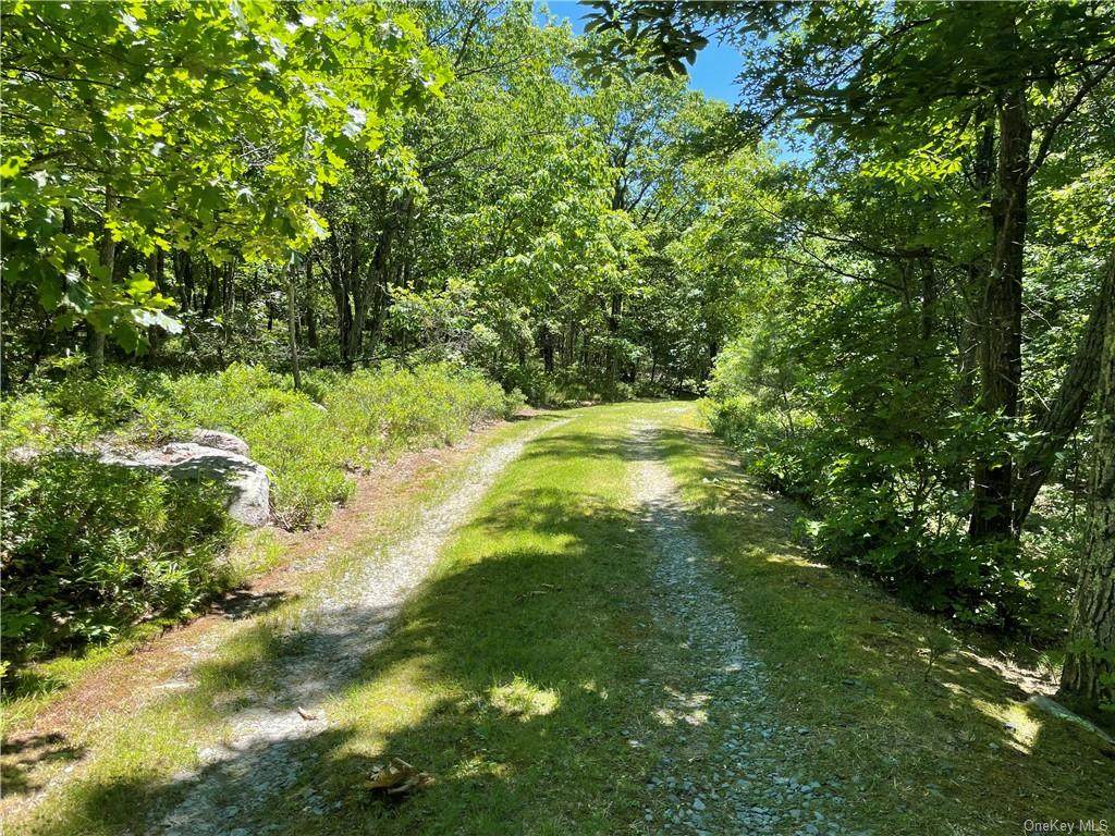 Treetops Trail - Photo 1