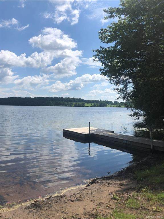 Black Lake Estates Lot #17 - Photo 1