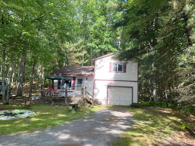 203 Mohican Trail - Photo 1
