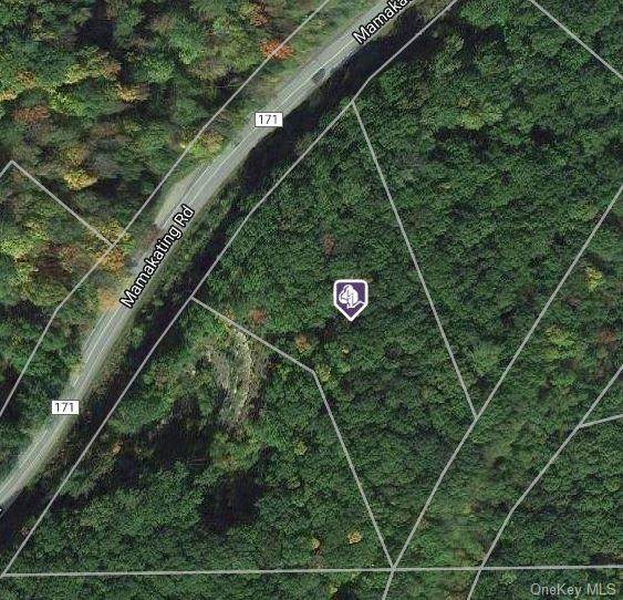 Mamakating Road - Photo 1