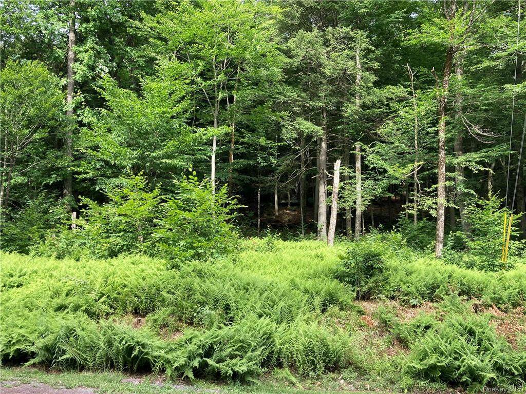 Lot 31 Kenoza Trail - Photo 1