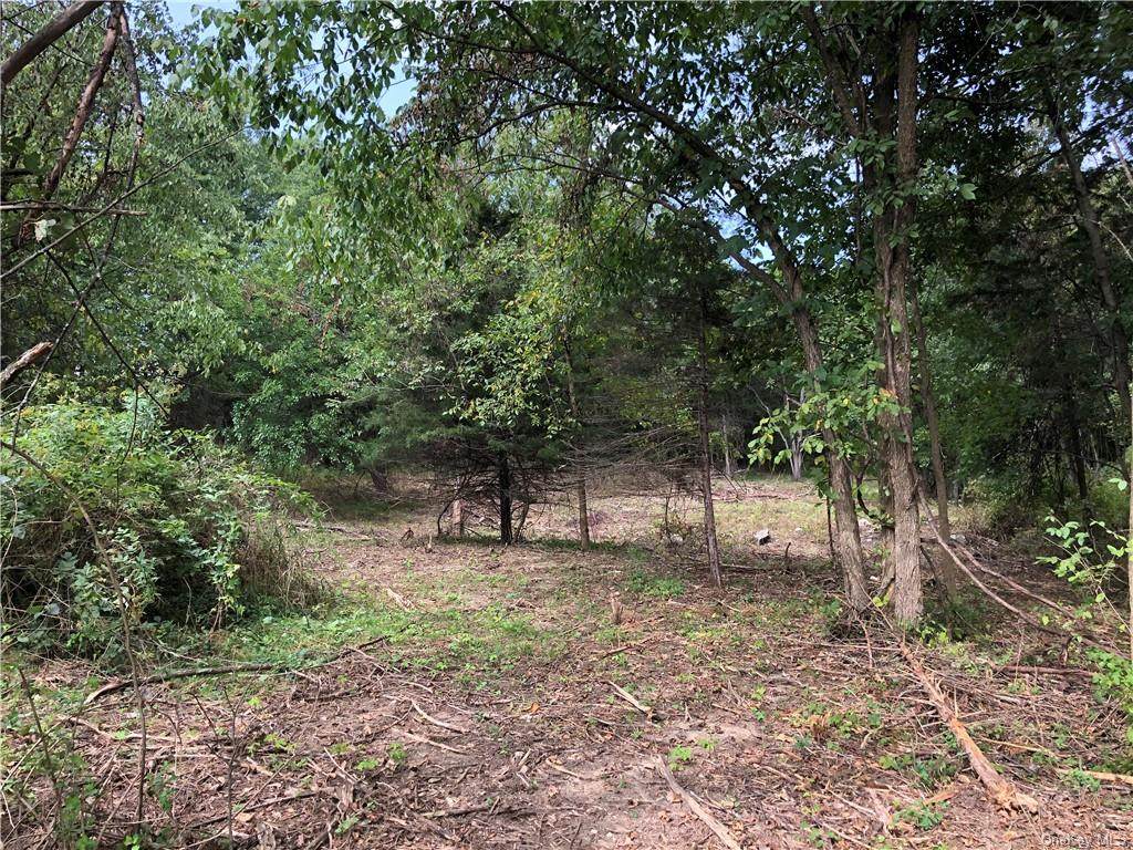 15 Cross Creek Road - Photo 1