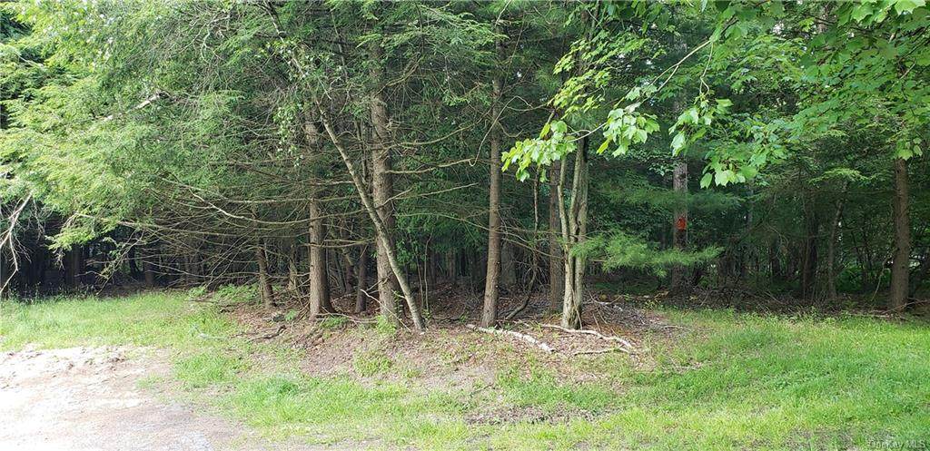Shore Road - Photo 1