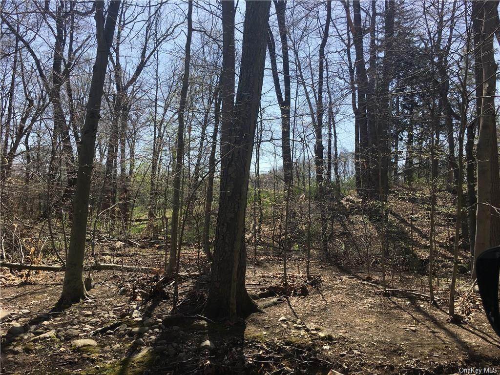 458 Pascack Road - Photo 1
