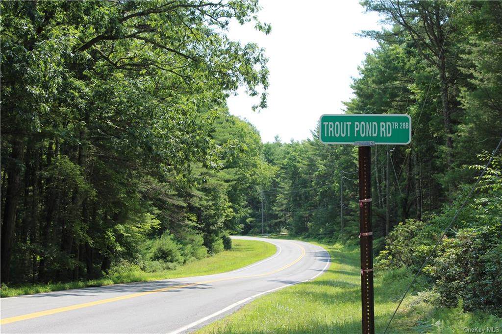 Trout Pond Road Tr 288 Trail - Photo 1
