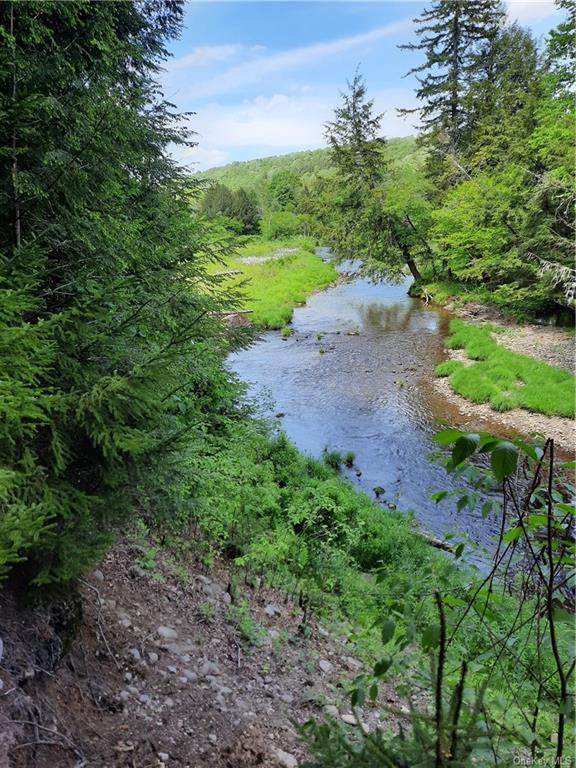 Forest Drive - Photo 1