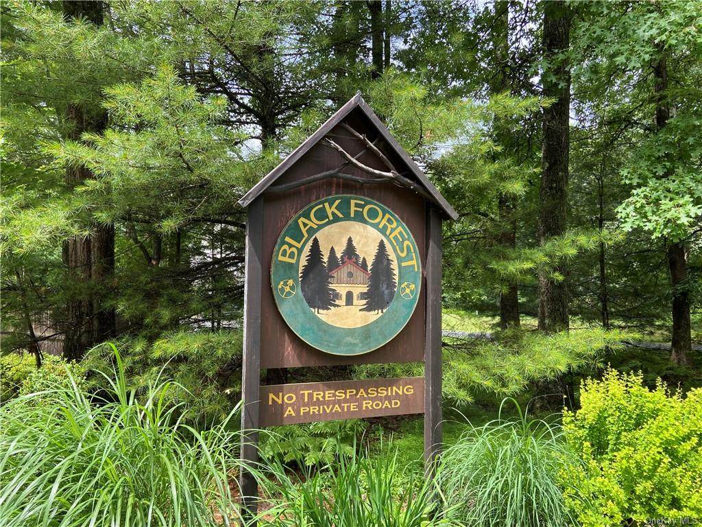 Lot 137 Main Black Forest Road - Photo 1