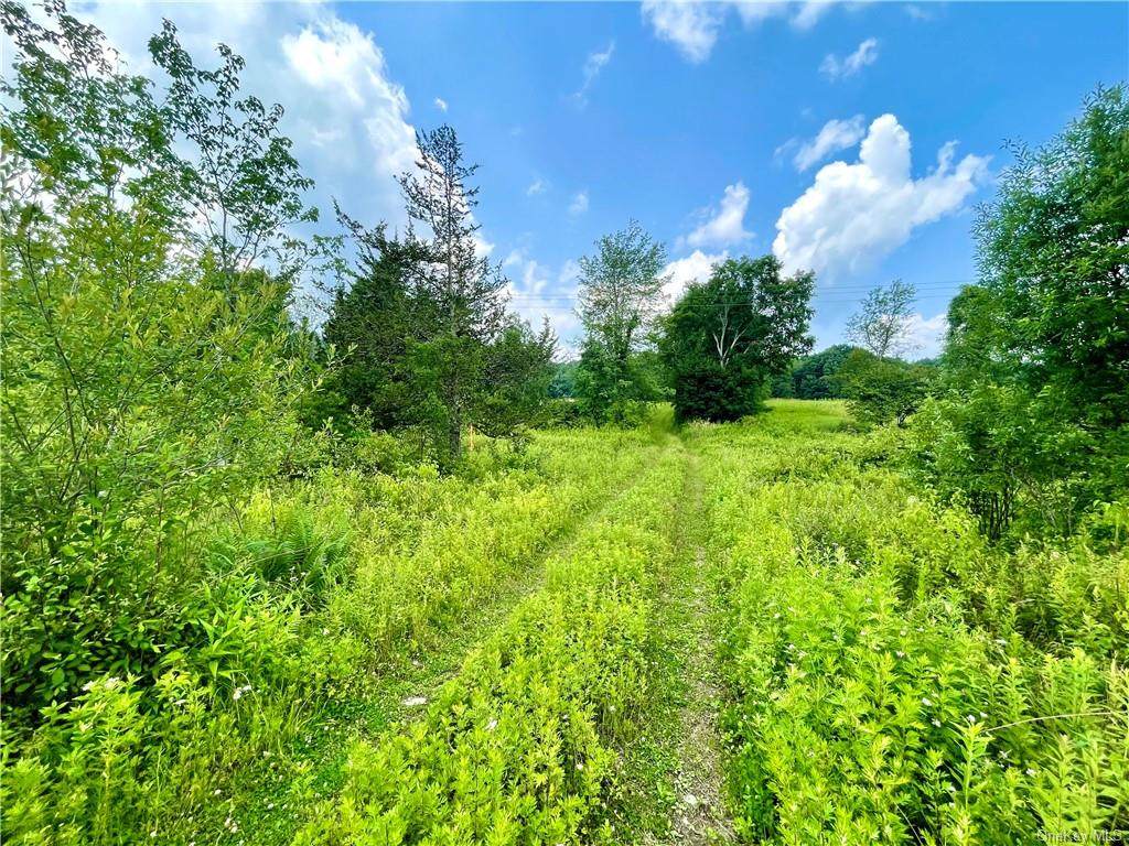 259 Howells Turnpike - Photo 1