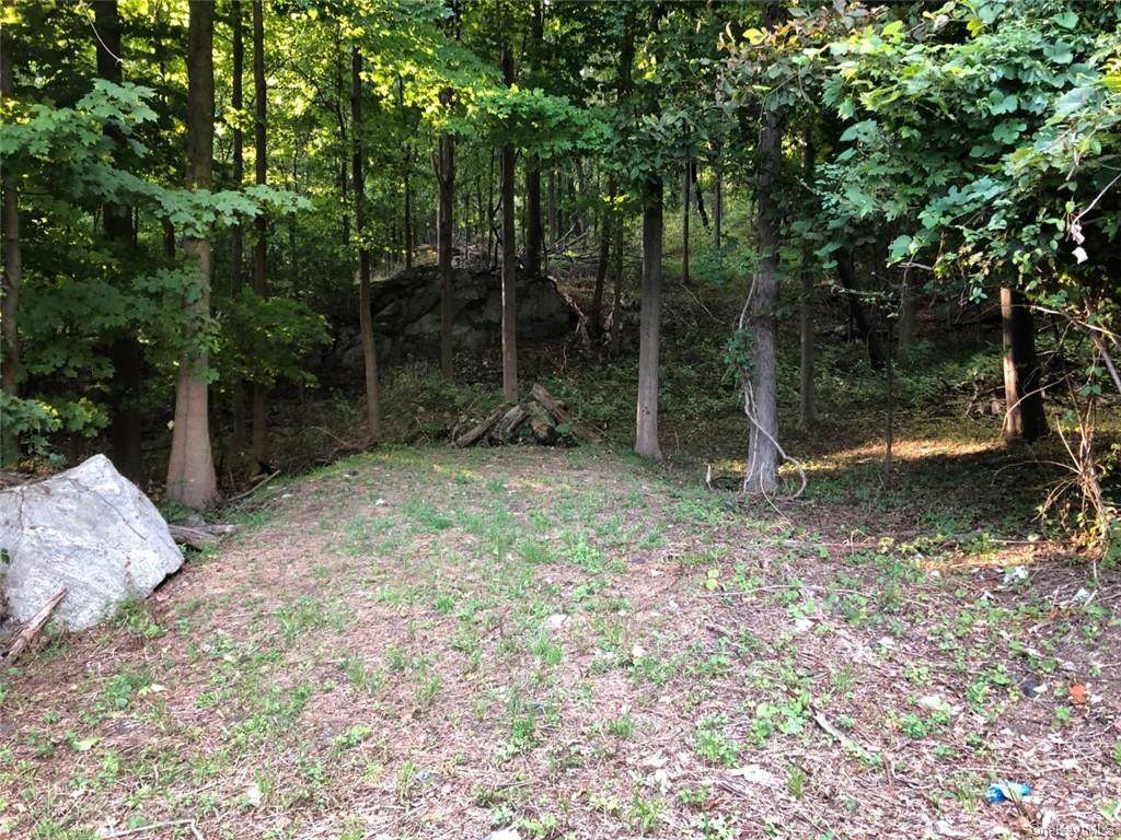 1 Oscawana Lake Road - Photo 1