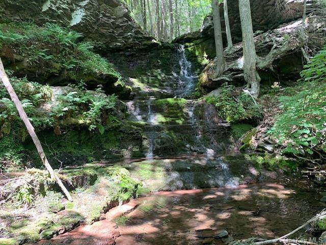 Lewis Hollow Road - Photo 1