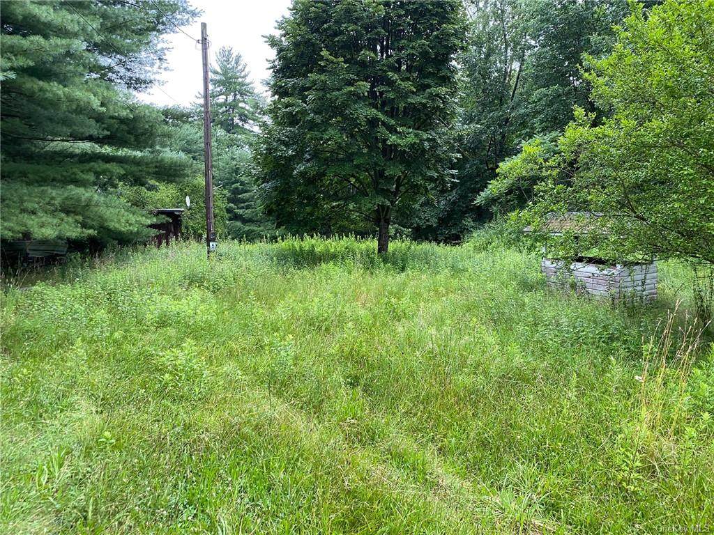 215 Martins Lot 1 Road - Photo 1