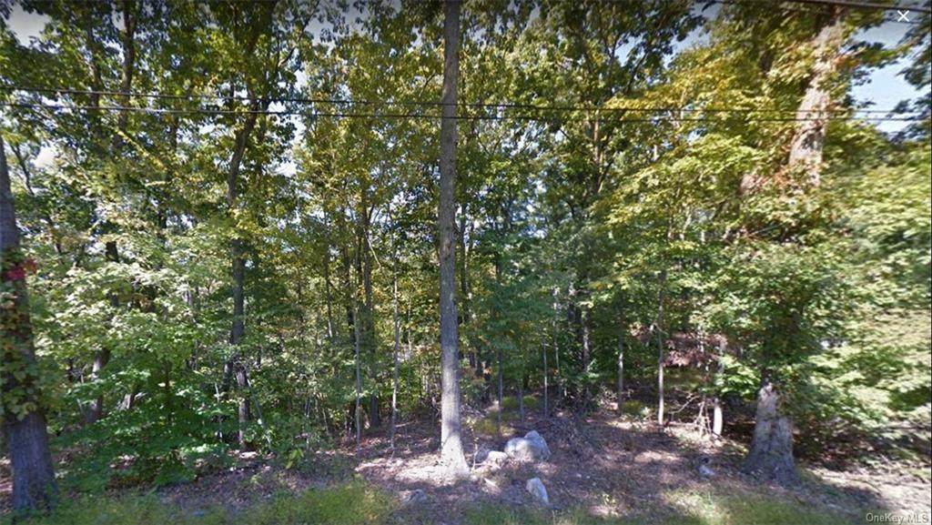 1-45 Maple Road - Photo 1