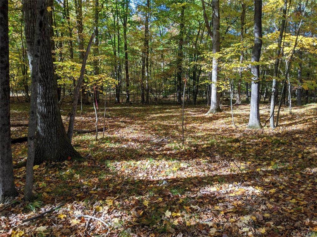 0 Searsville Road - Photo 1