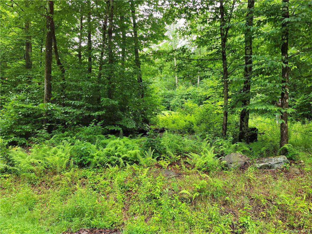 Maplewood Road - Photo 1