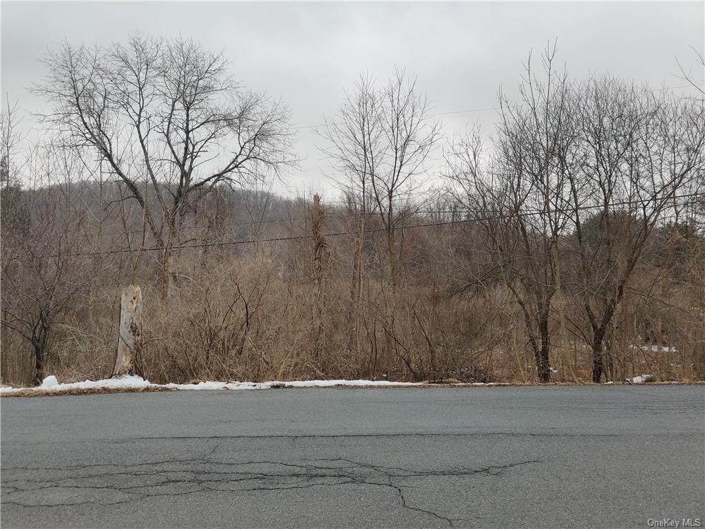 423 Rossway Road - Photo 1