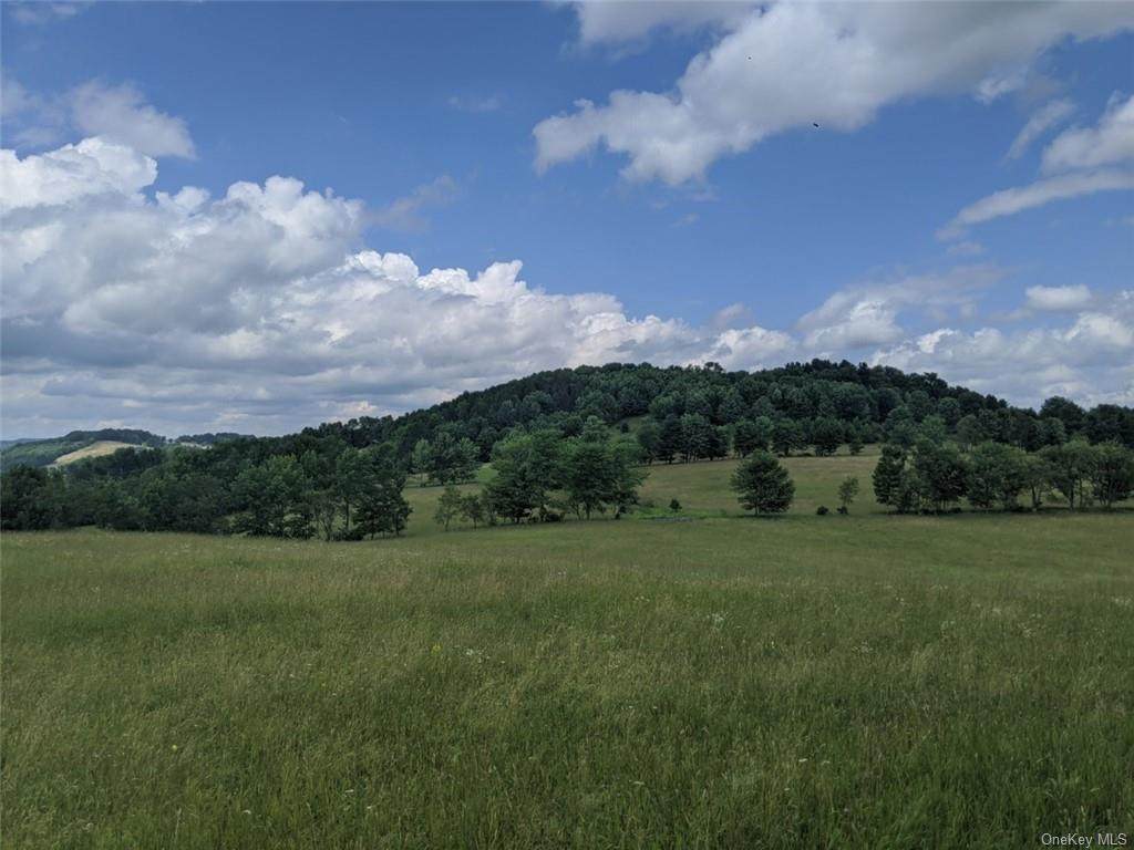 Bauernfeind Road - Photo 1
