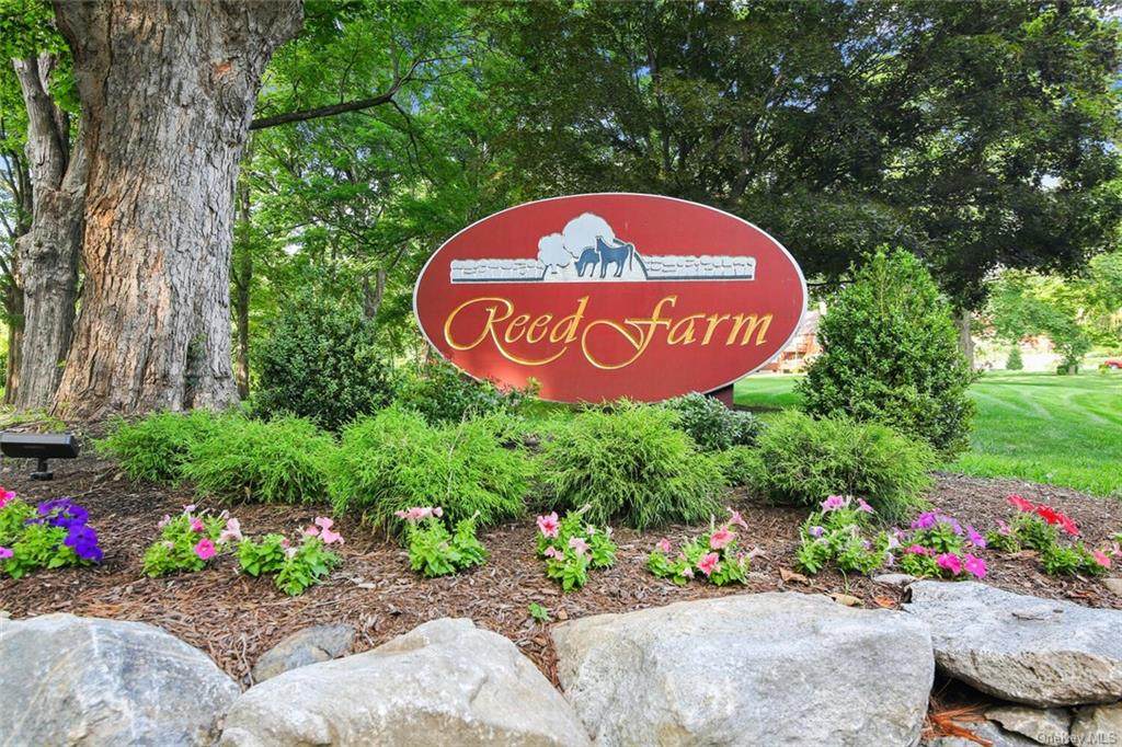303 Apple Tree Lane - Photo 1