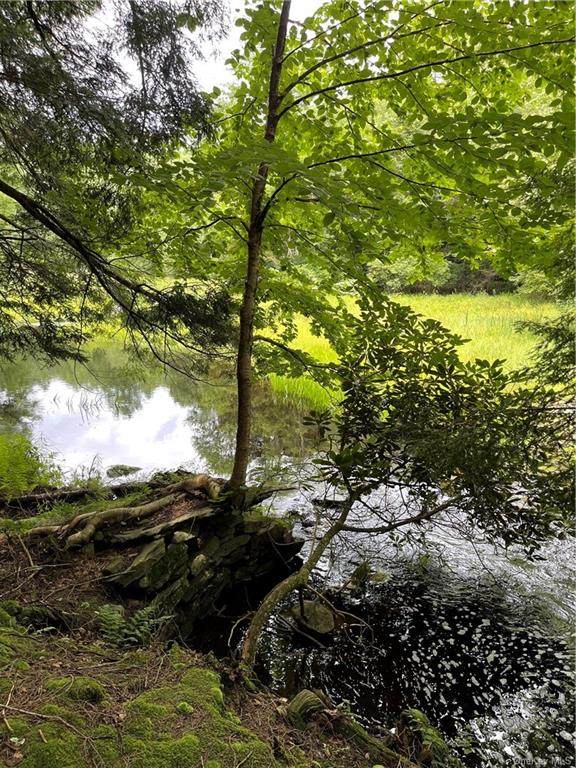 Soule Road - Photo 1