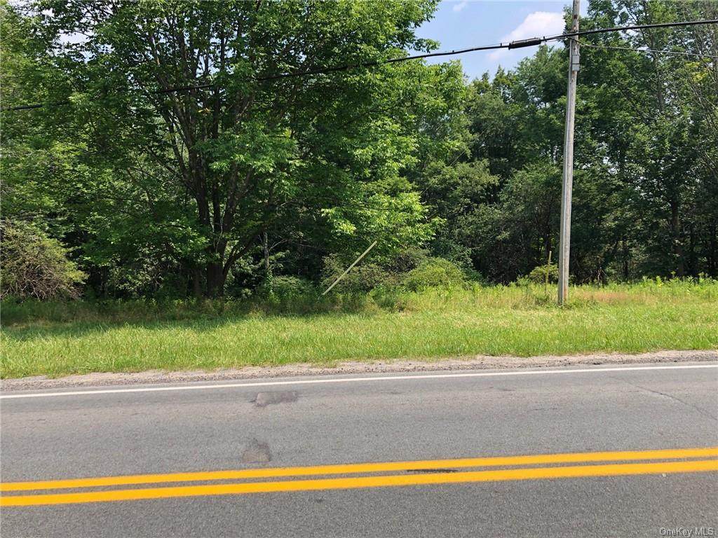 X Dairyland Road - Photo 1