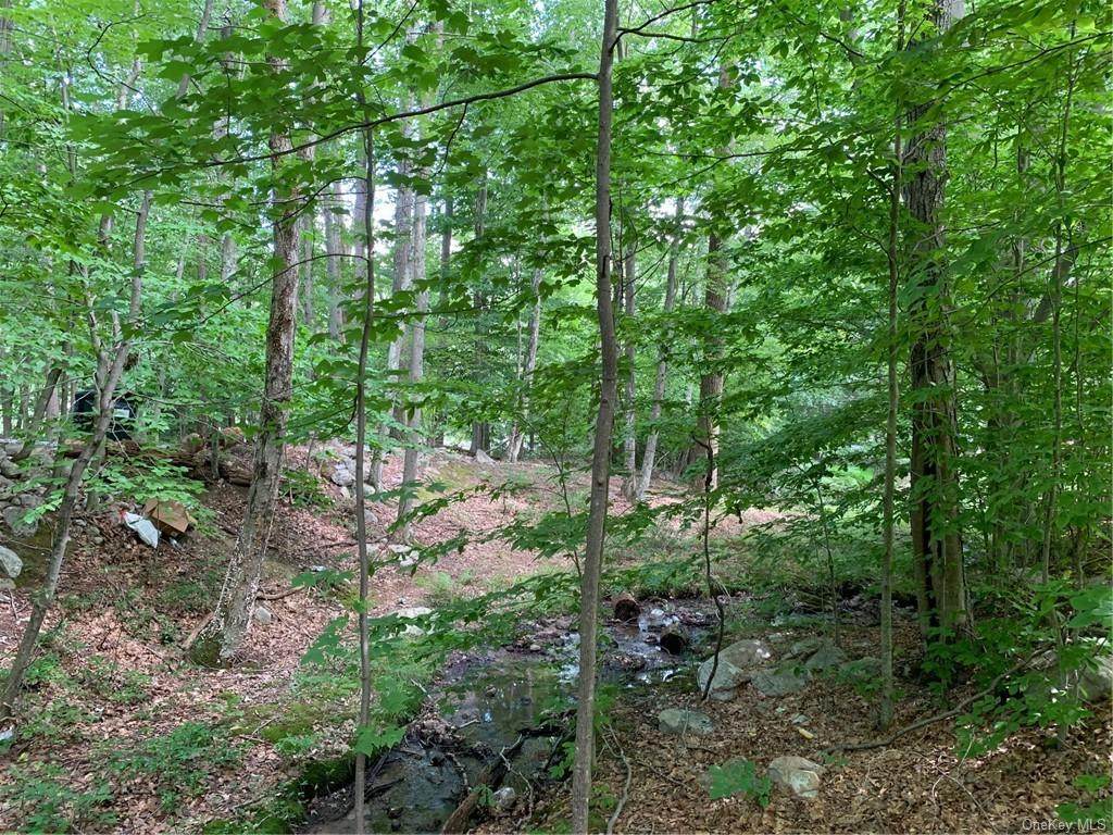 451 Oregon Trail - Photo 1