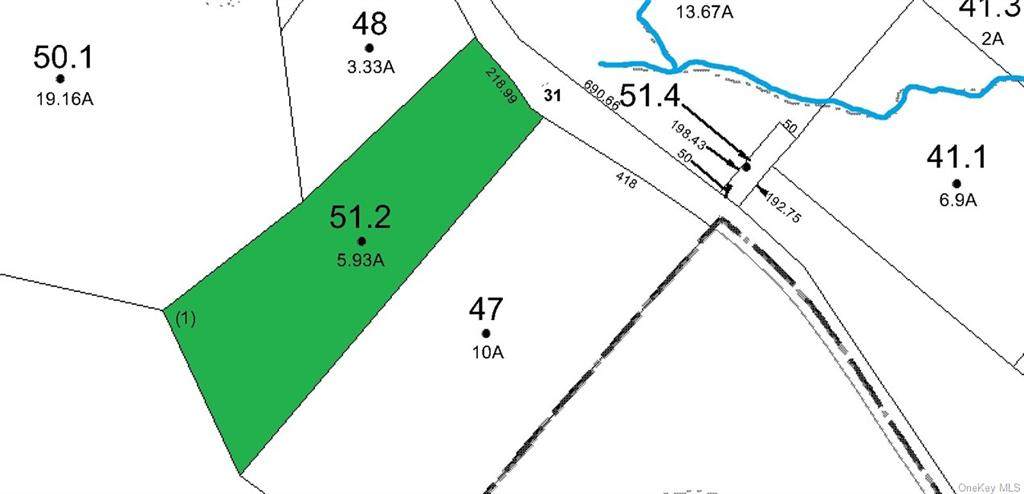 LOt 51.2 County Route 31 Route - Photo 1