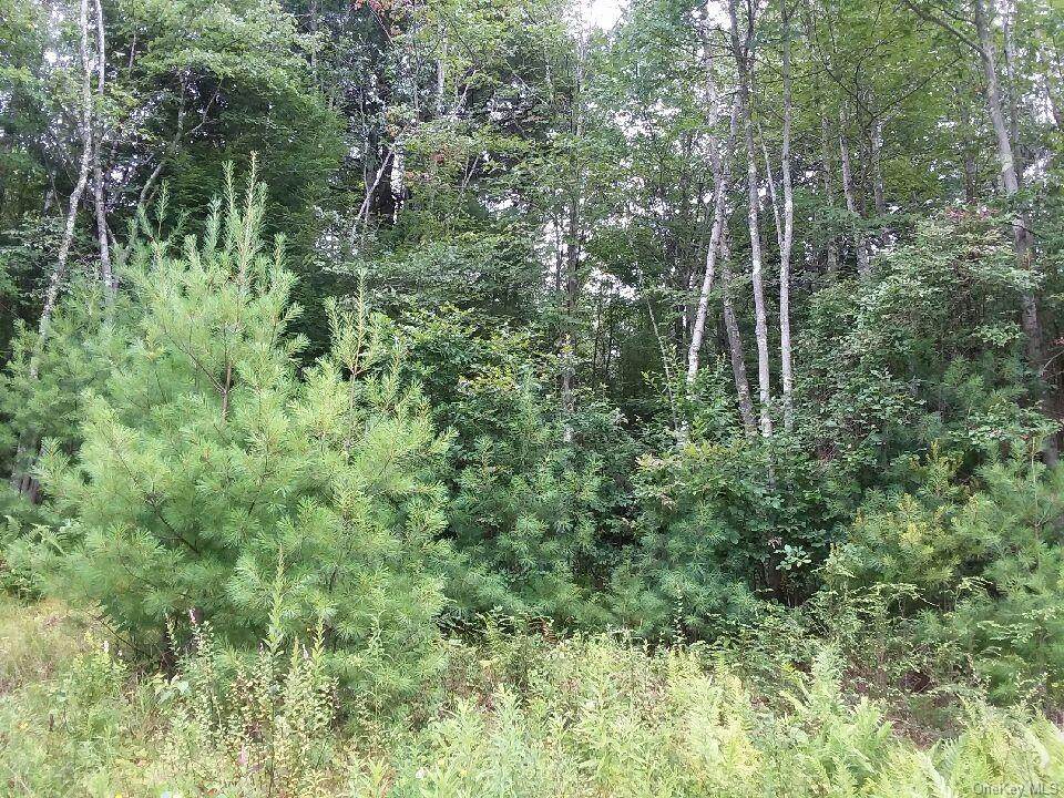 Briscoe Road - Photo 1