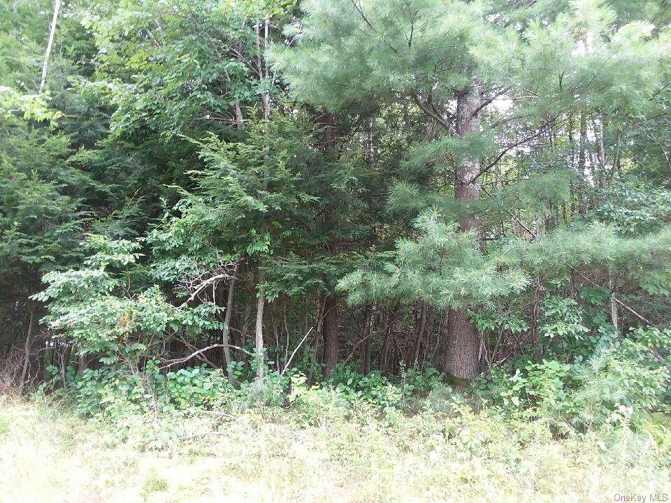 County Hwy 144 - Photo 1