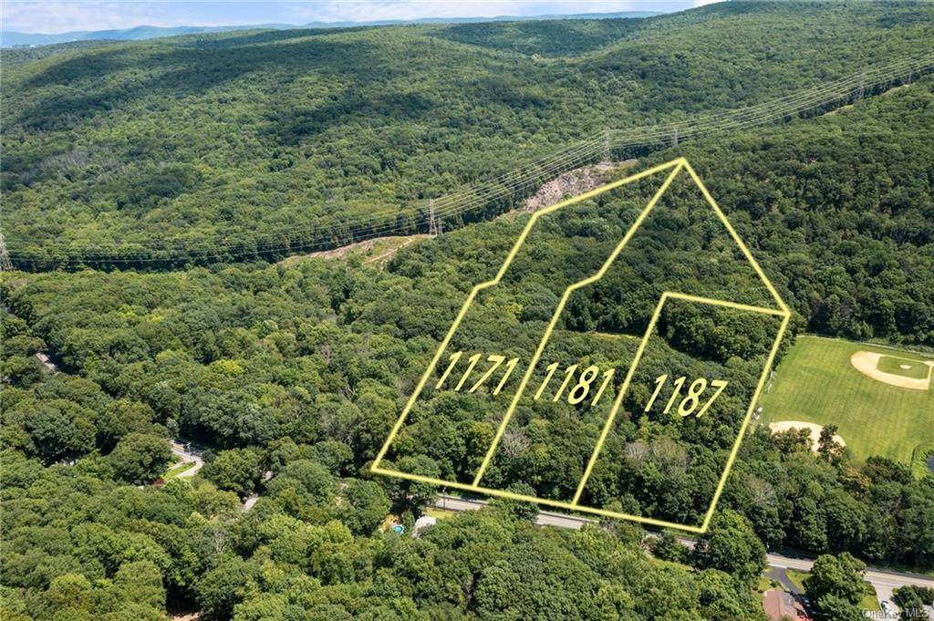 1181 Lakes Road - Photo 1