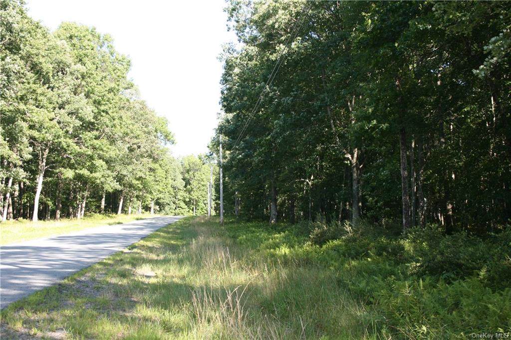 Cushetunk Drive - Photo 1