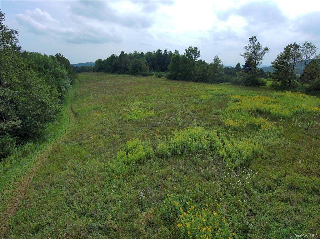 Upper Big Sky Overlook Circle - Photo 1