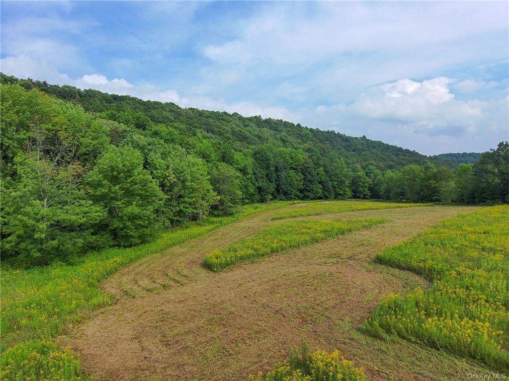 Upper Pasture Overlook Circle - Photo 1