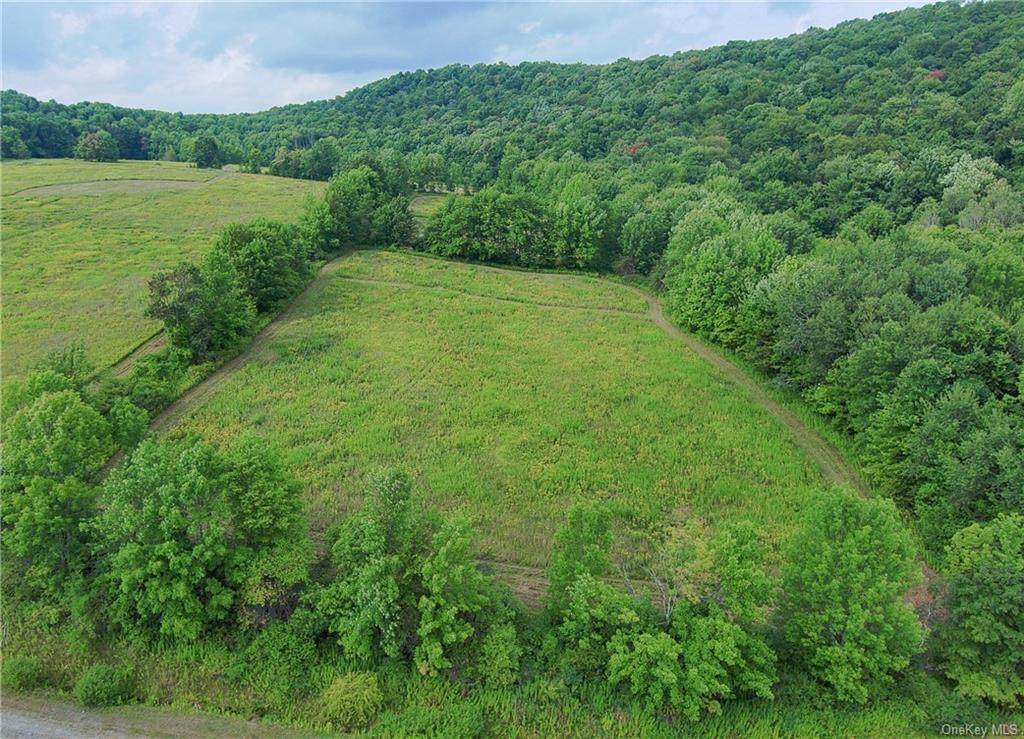 Lower Pasture Overlook Circle - Photo 1