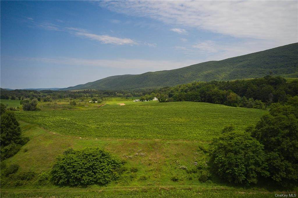 Boston Corners Road - Photo 1